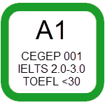 A1
